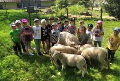 IMG_20220510_104701