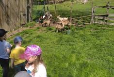 IMG_20220510_105513