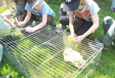 IMG_20220510_111057