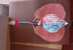 IMG_20230117_100748