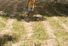 IMG-20250626-WA0011