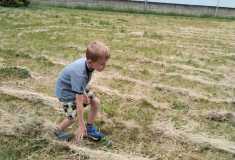 IMG-20250626-WA0013