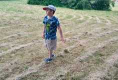 IMG-20250626-WA0014