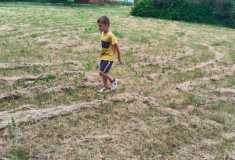IMG-20250626-WA0015