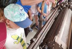 IMG_20230620_104037