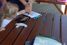 IMG_20260624_095436