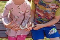 IMG_20250617_093031