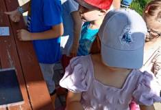 IMG_20250617_094546