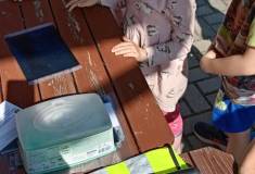 IMG_20250617_094634
