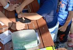 IMG_20250617_094730