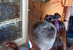 IMG_20250625_100843