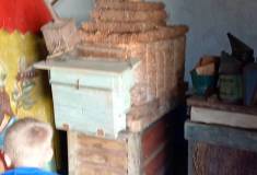 IMG_20250625_100944