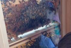IMG_20250625_101029