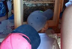 IMG_20250625_101150
