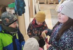 IMG_20240312_105356_1