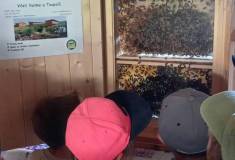 511123111_122203157090055670_4032038823571218907_n