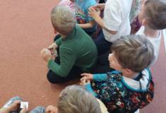 IMG_20260515_090155