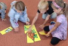 IMG_20250911_093024