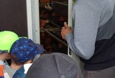 IMG_20250911_104531
