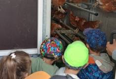 IMG_20250911_104534