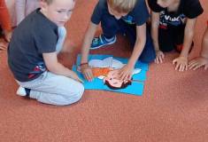 IMG_20250912_093422