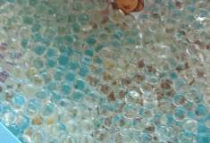 IMG_20250606_083028