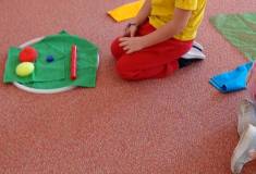IMG_20250219_094551