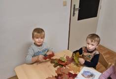 IMG_20211012_081856