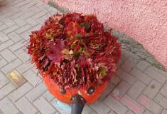 IMG_20211012_112847