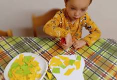 IMG_20211006_074634
