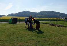 IMG_20250430_090657