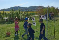 IMG_20250430_094636