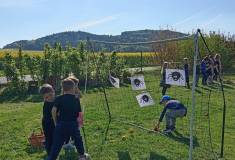 IMG_20250430_094640
