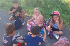 Piknik u lesa