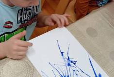 IMG_20251119_083135