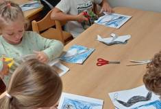 IMG_20250922_094722
