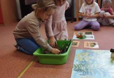 IMG_20251003_094116