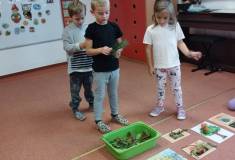 IMG_20251003_094710