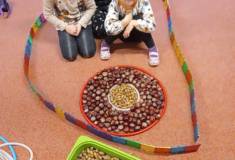 IMG_20221101_072255