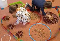 IMG_20221101_072757