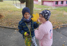 IMG_20261015_110258