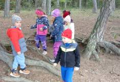 IMG_20241014_110331