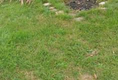 IMG_20251001_133115