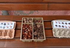 IMG_20251001_133607