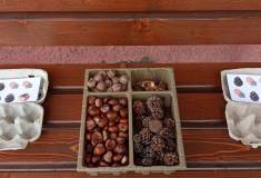 IMG_20251001_133613