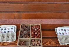 IMG_20251001_133621