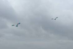 IMG_20251001_153720