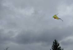 IMG_20251001_153947