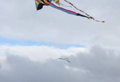IMG_20251001_155659