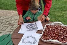 IMG_20251001_160136